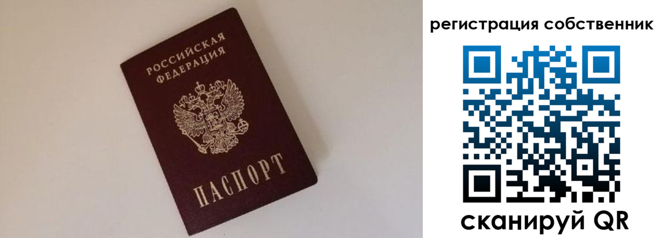 временная регистрация надежно в Снежинске